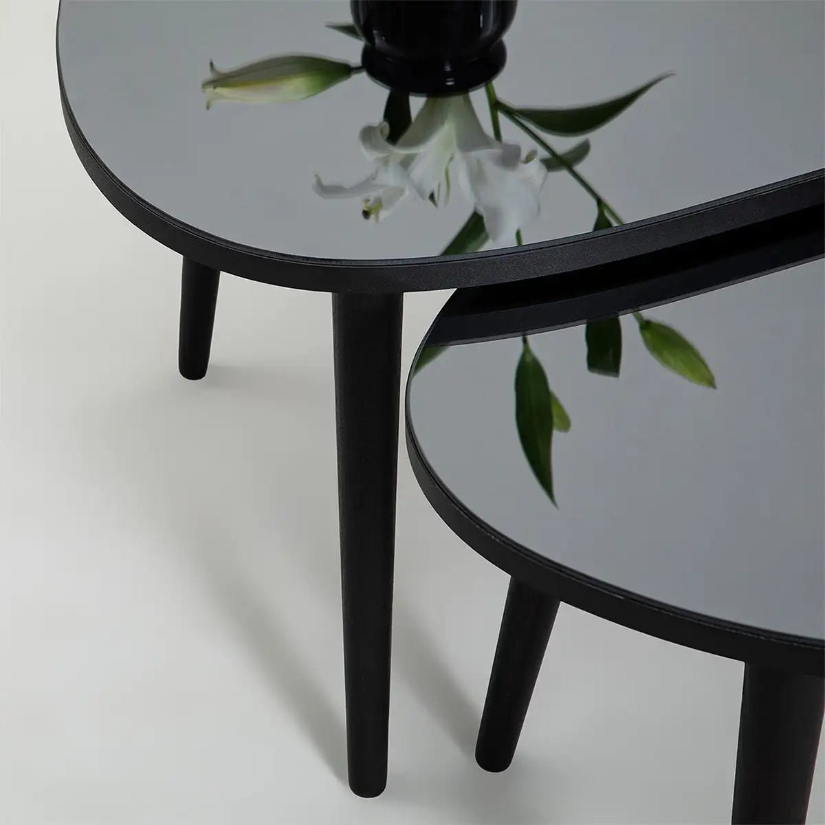 Picco - 2 Modern Coffee Table with Transparent Mirror and Solid Wood Legs, End Table, Accent Table